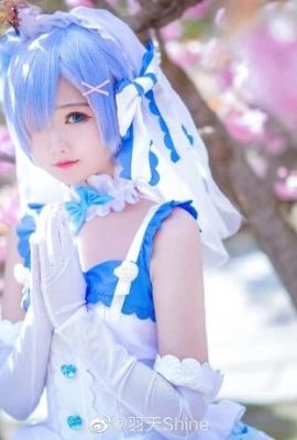 Từ đầu, Rem Hanayo cos, cn Yutian Shine dễ thương và dễ thương (12P)