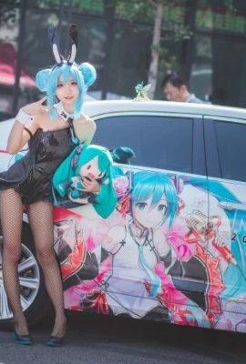 Hatsune Miku Bunny Girl@Green Eggplant nasu (Triển lãm truyện tranh ngũ hành Wushan Bắc Kinh) (9P)