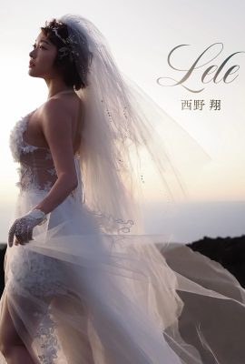 Sho Nishino (Ảnh)《Lele》 (88P)