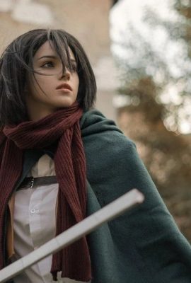 Sirogane-sama – Mikasa