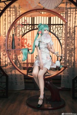 Hatsune Miku Shaohua · Hatsune Miku@皖 Pigeonwgg (9P)