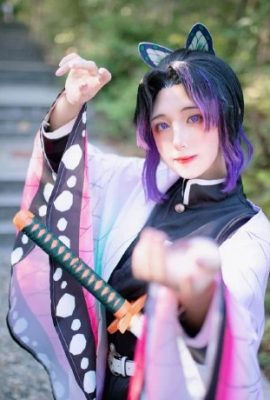 Sát quỷ: Kimetsu no Yaiba Butterfly Ninja @猫猫Hcat (9P)