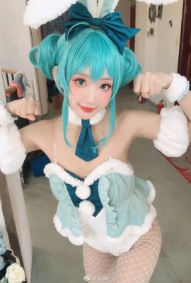 Hatsune Miku miku cô gái thỏ@Youyou(9P)