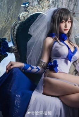 Chia sẻ ảnh cos Paladin của “Azur Lane” Louis IX (CN: Cangji Platycodon) (16P)