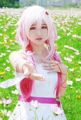 Xia Ningning-Guilty Crown COS Tóc đuôi ngựa đôi và ba vòng cầu nguyện trước biển hoa