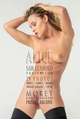 (Morey Studio)17 tháng 9 năm 2024 – Alice – C12A(29P)