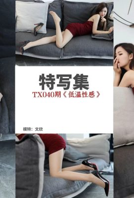 (Bộ ảnh Simu) TX040 Wen Xin “Nhiệt độ thấp gợi cảm” (54P)