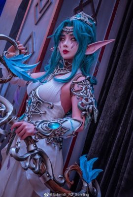 World of Warcraft Tyrande @肉丝热热子 (Nhiếp ảnh: @Schmidt_R2_Schilling) (Triển lãm du lịch quốc gia World of Warcraft) (9P)