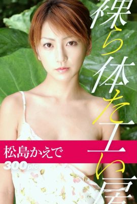 Kaede Matsushima (Photobook) Xưởng khỏa thân (205P)