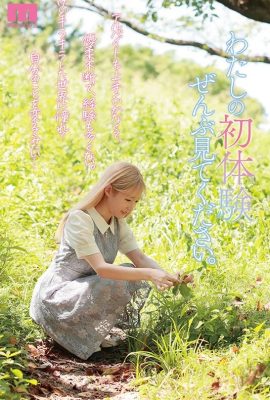 Mori Anohana – cô gái khởi nghiệp vì muốn thay đổi bản thân (9P)