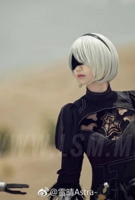 (Tuyết trong Astra) Yorha 2B