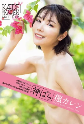 (Bộ mẫu Nhật Bản) Maple Love “Kami ぱら” (102P)