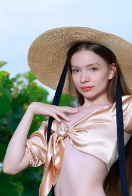 Dariana – Vườn nho Vixen (112p)