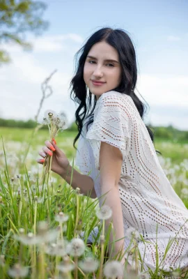 Sasha Jane – Đường bồ công anh (105p)