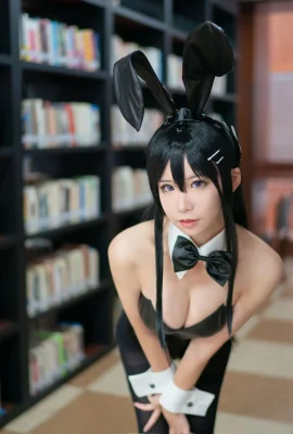 Anime Blogger yêu thích Giáo viên_PHD – Chị gái Bunny Girl (8P)
