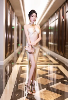 Wang Xinyao’s Tulle lãi (98p)